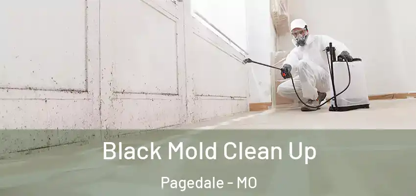 Black Mold Clean Up Pagedale - MO
