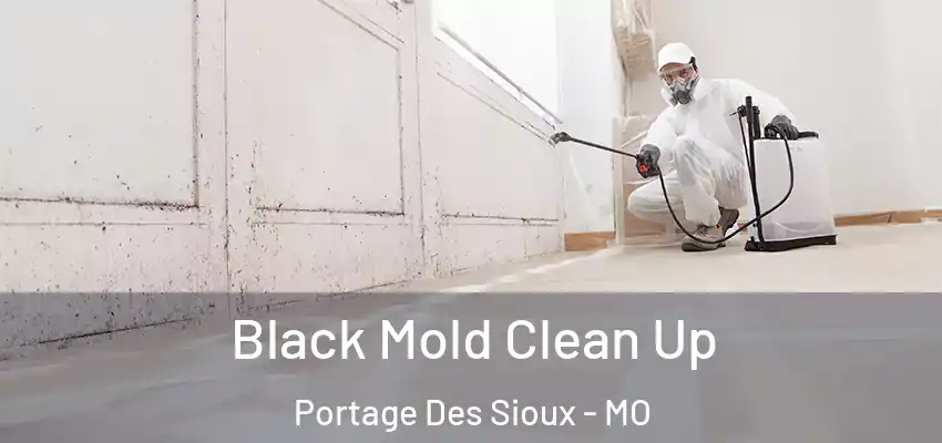  Black Mold Clean Up Portage Des Sioux - MO