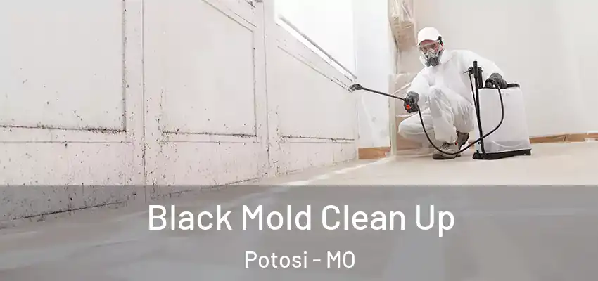  Black Mold Clean Up Potosi - MO