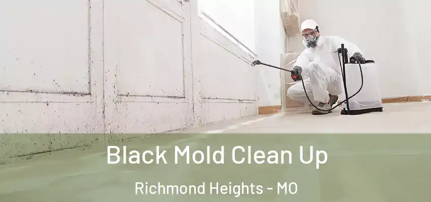  Black Mold Clean Up Richmond Heights - MO
