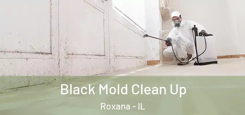  Black Mold Clean Up Roxana - IL