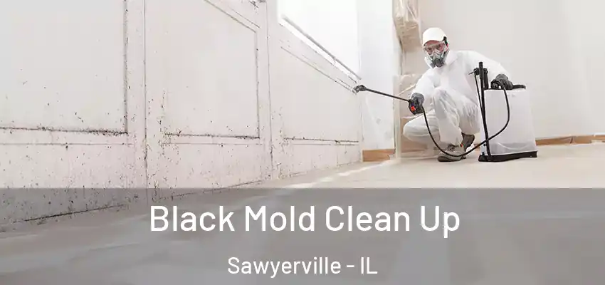  Black Mold Clean Up Sawyerville - IL