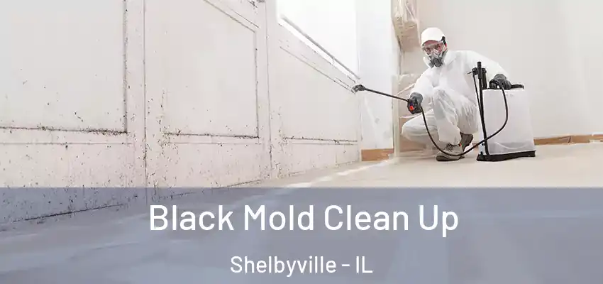 Black Mold Clean Up Shelbyville - IL