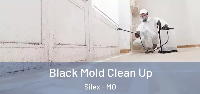  Black Mold Clean Up Silex - MO