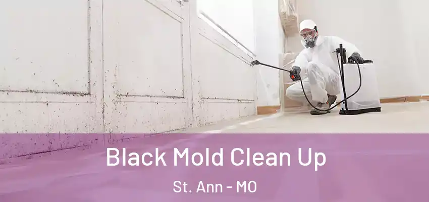  Black Mold Clean Up St. Ann - MO