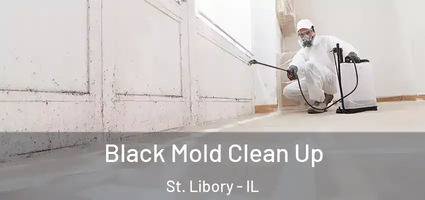  Black Mold Clean Up St. Libory - IL