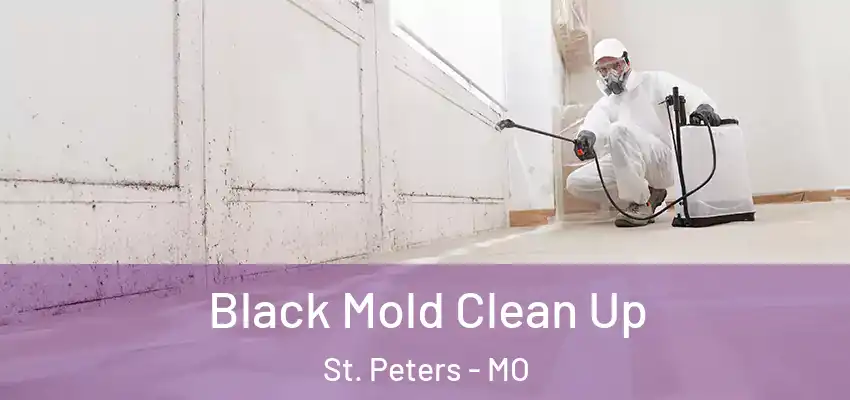  Black Mold Clean Up St. Peters - MO