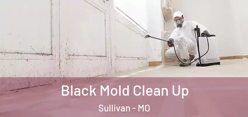 Black Mold Clean Up Sullivan - MO