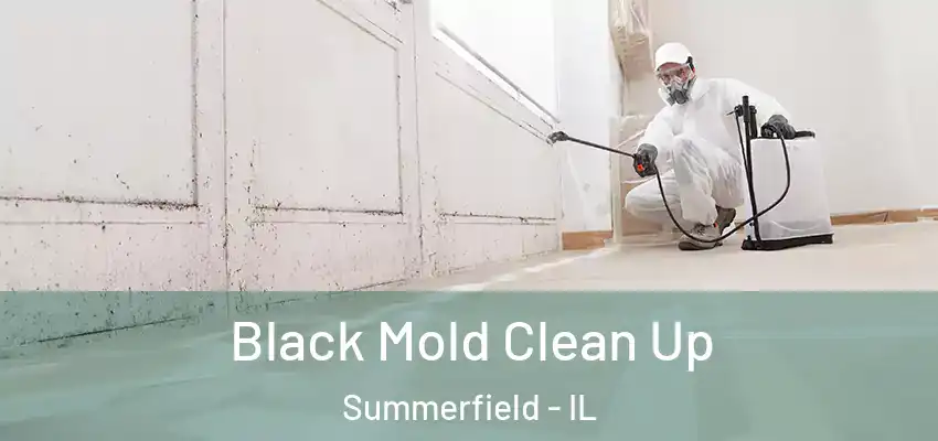  Black Mold Clean Up Summerfield - IL