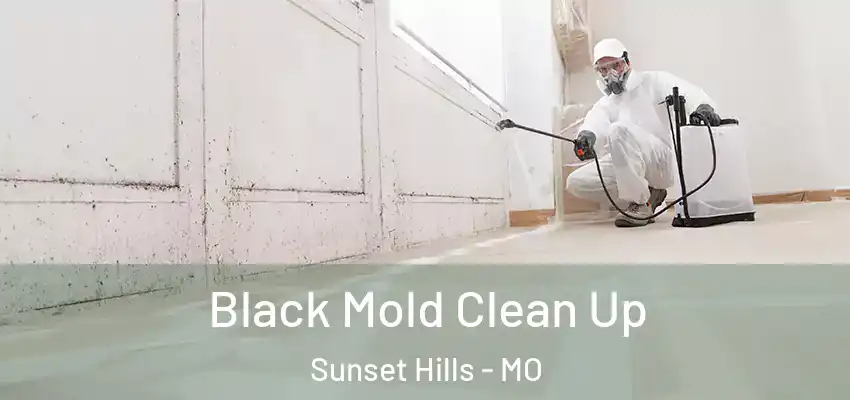 Black Mold Clean Up Sunset Hills - MO