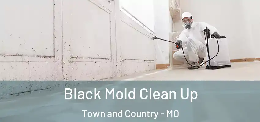 Black Mold Clean Up Town and Country - MO