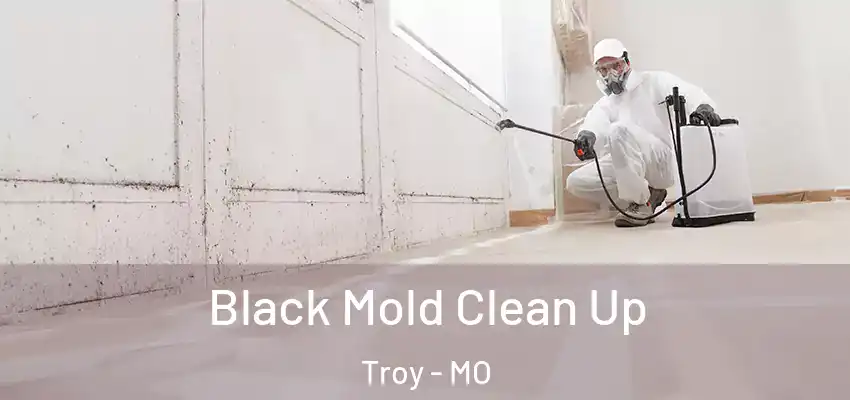 Black Mold Clean Up Troy - MO