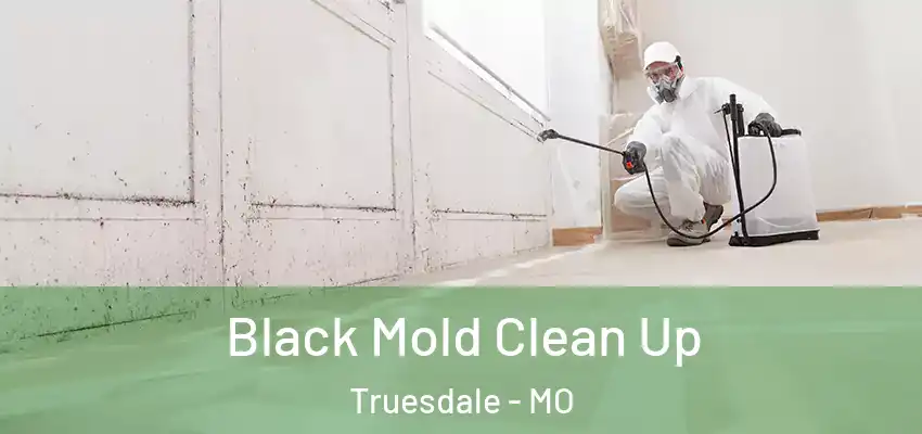  Black Mold Clean Up Truesdale - MO