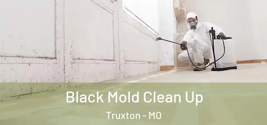  Black Mold Clean Up Truxton - MO
