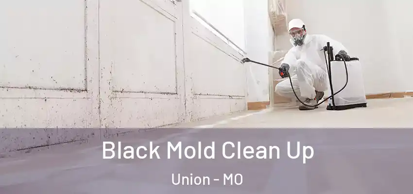 Black Mold Clean Up Union - MO