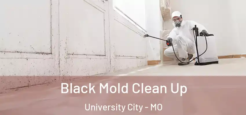  Black Mold Clean Up University City - MO