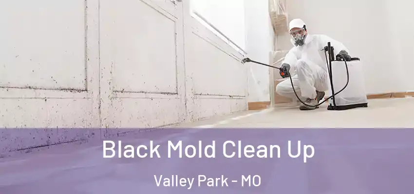  Black Mold Clean Up Valley Park - MO