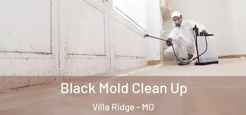  Black Mold Clean Up Villa Ridge - MO