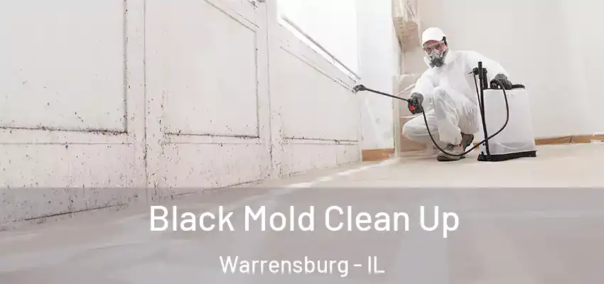  Black Mold Clean Up Warrensburg - IL