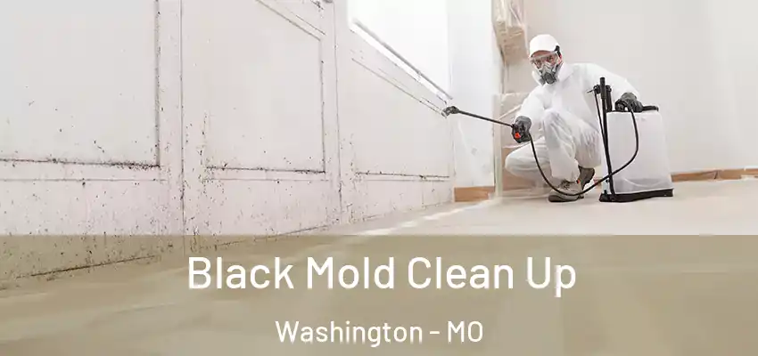  Black Mold Clean Up Washington - MO