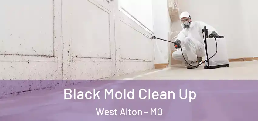  Black Mold Clean Up West Alton - MO