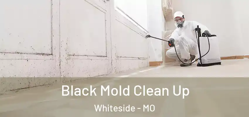  Black Mold Clean Up Whiteside - MO