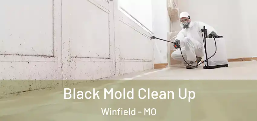  Black Mold Clean Up Winfield - MO