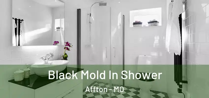  Black Mold In Shower Affton - MO