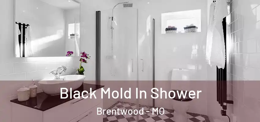  Black Mold In Shower Brentwood - MO