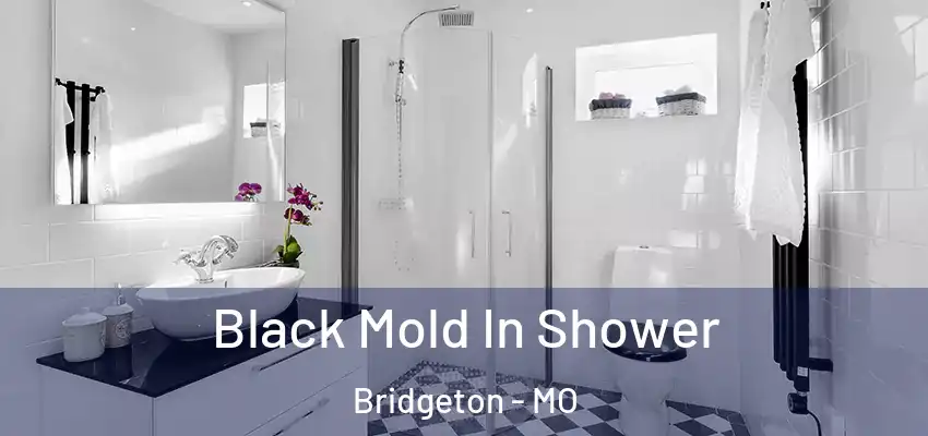  Black Mold In Shower Bridgeton - MO