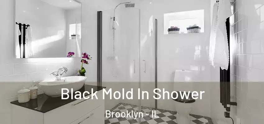  Black Mold In Shower Brooklyn - IL