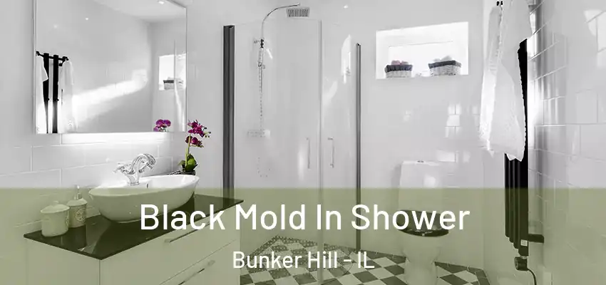 Black Mold In Shower Bunker Hill - IL