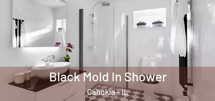  Black Mold In Shower Cahokia - IL