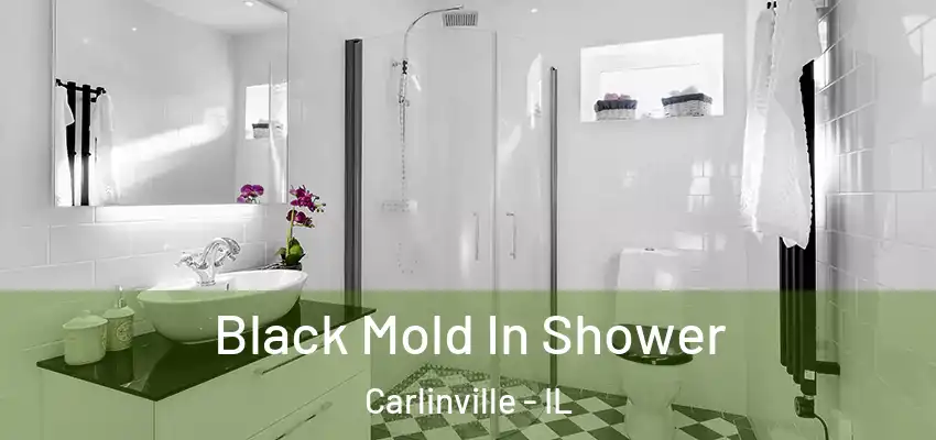  Black Mold In Shower Carlinville - IL
