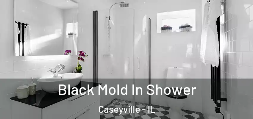 Black Mold In Shower Caseyville - IL