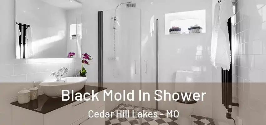 Black Mold In Shower Cedar Hill Lakes - MO
