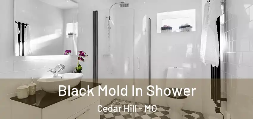  Black Mold In Shower Cedar Hill - MO