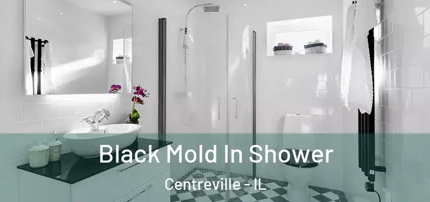  Black Mold In Shower Centreville - IL
