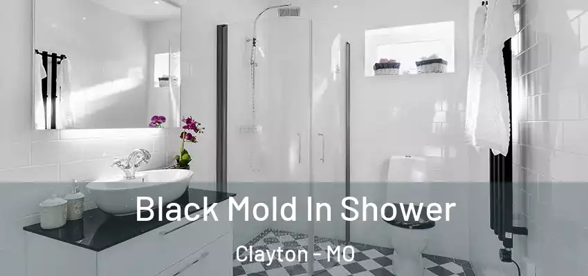 Black Mold In Shower Clayton - MO