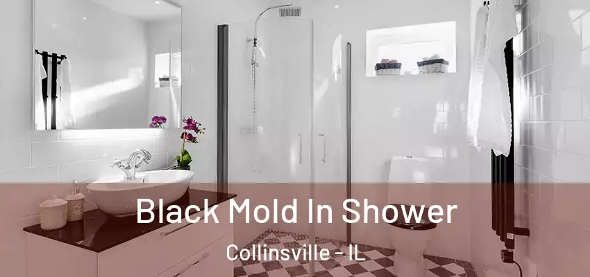  Black Mold In Shower Collinsville - IL