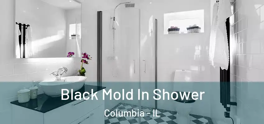 Black Mold In Shower Columbia - IL