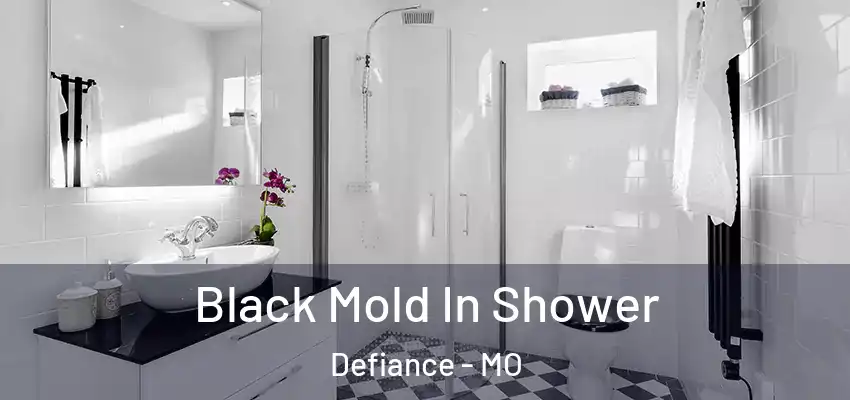  Black Mold In Shower Defiance - MO