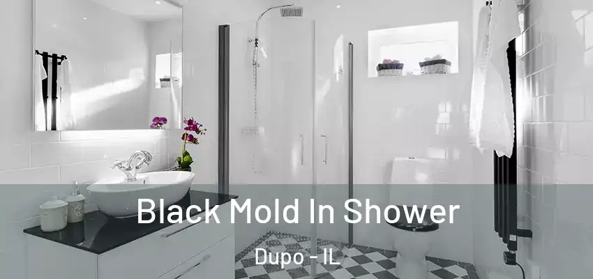 Black Mold In Shower Dupo - IL