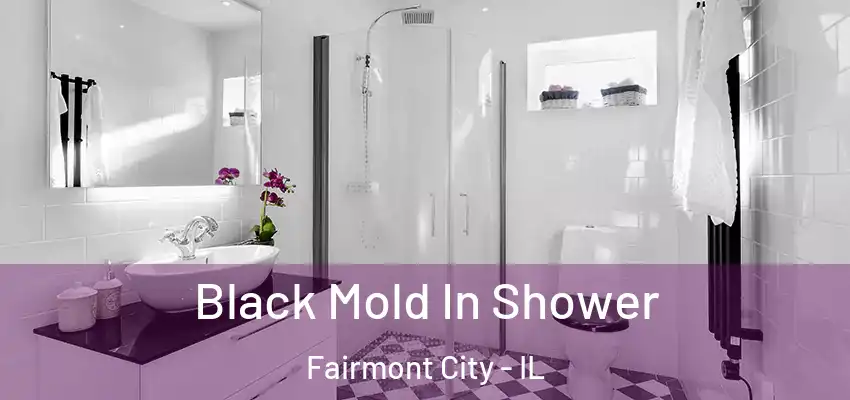 Black Mold In Shower Fairmont City - IL