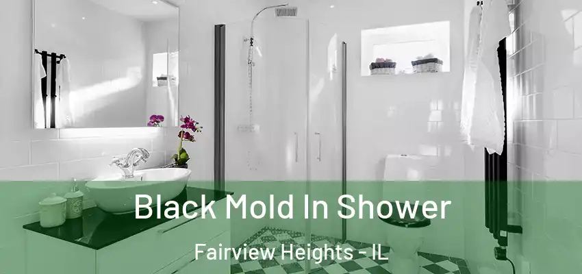  Black Mold In Shower Fairview Heights - IL