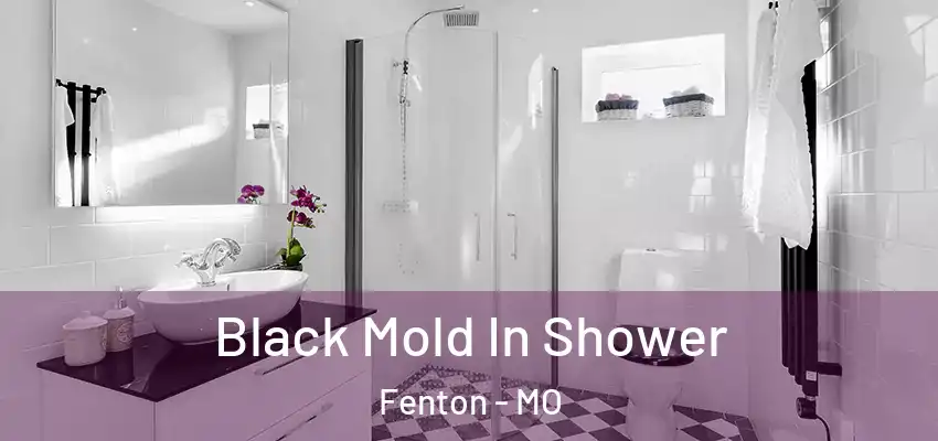  Black Mold In Shower Fenton - MO