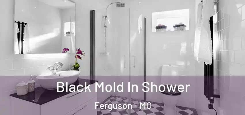  Black Mold In Shower Ferguson - MO