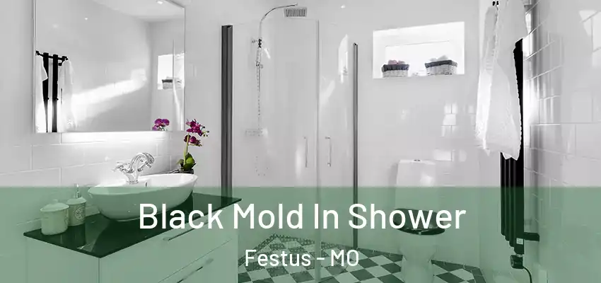  Black Mold In Shower Festus - MO