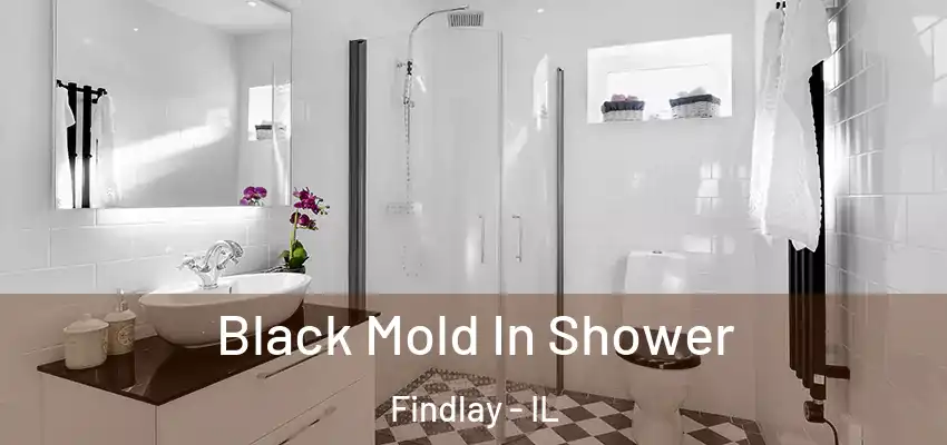  Black Mold In Shower Findlay - IL