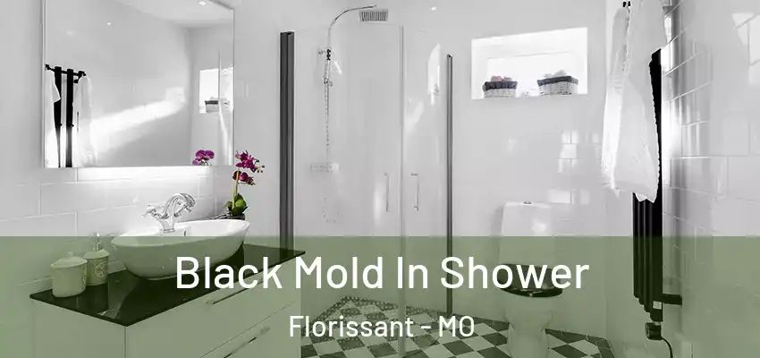 Black Mold In Shower Florissant - MO